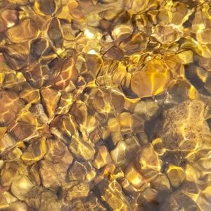 Meet your Posher, Veronica